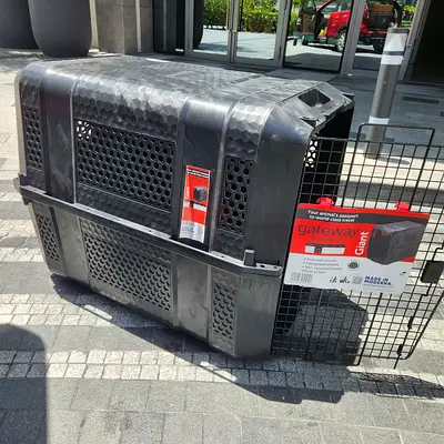 Dogs carriers for air travel