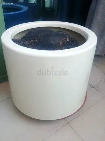 Big Pots for Plants