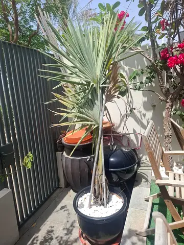 Pots