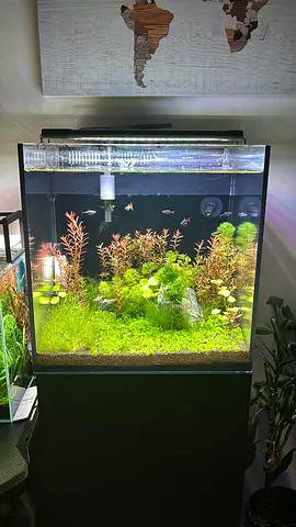 Freshwater aquaruim for sale