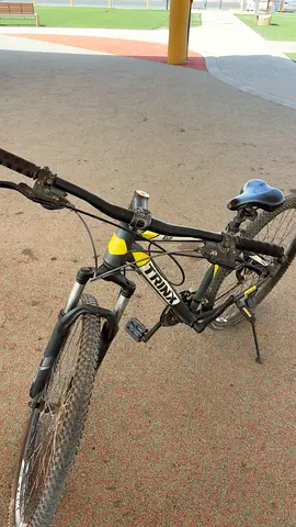 Trinx Mountain Bike - Used, Good Condition