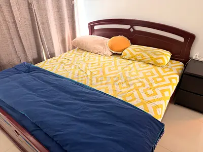 Duck Down duvet with duvet cover from IKEA