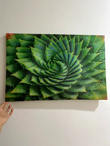 Hand-painted Green Spiral Aloe Canvas Wall Art