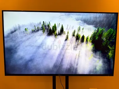 Nikai 65 inch TV(Perfect Condition)