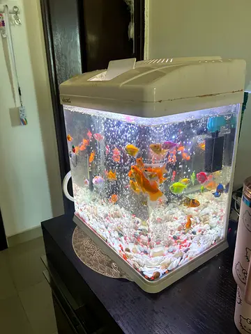 Compact LED Medium size Aquarium with Filter - Good Condition - without fishes