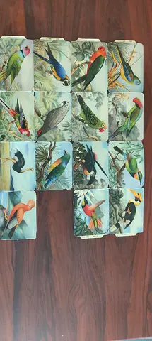 Vintage Bird Illustration Postcards - Set of 16 (Colorful Ornithological Prints)