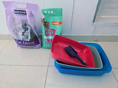 Free Cat litter + 3 Litter boxs