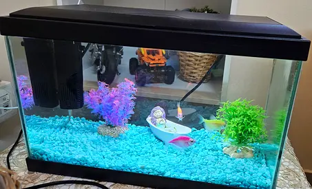 Home Aquarium with 3 Gold Fish and LED Light - Ready to Move (50cm x 25cm)