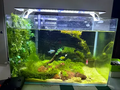 aquarium Full set