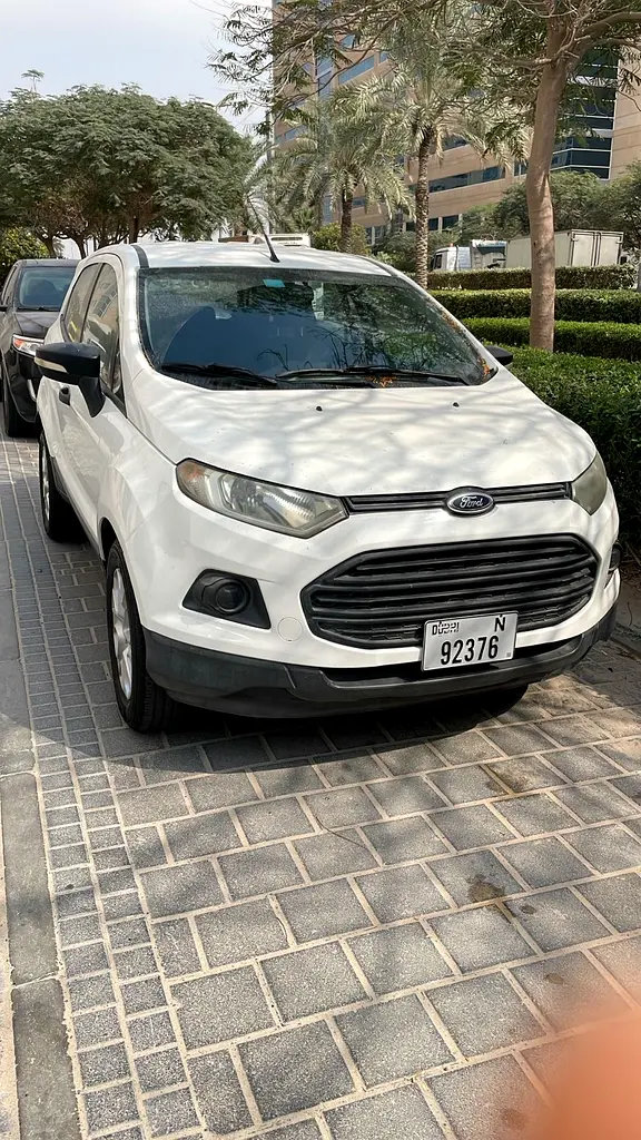 Ford Ecosport 2015 — photo 1 of 10
