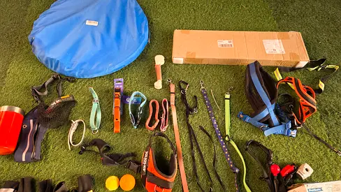 Dog Training Slalom Poles and Tunnel Set