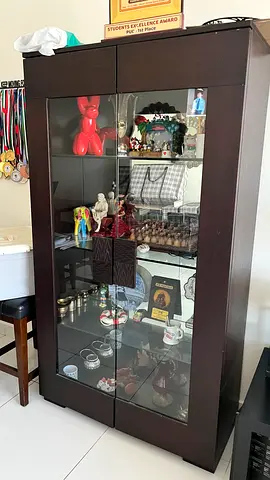 Dark Wood Glass Display Cabinet with Shelves — Good Condition