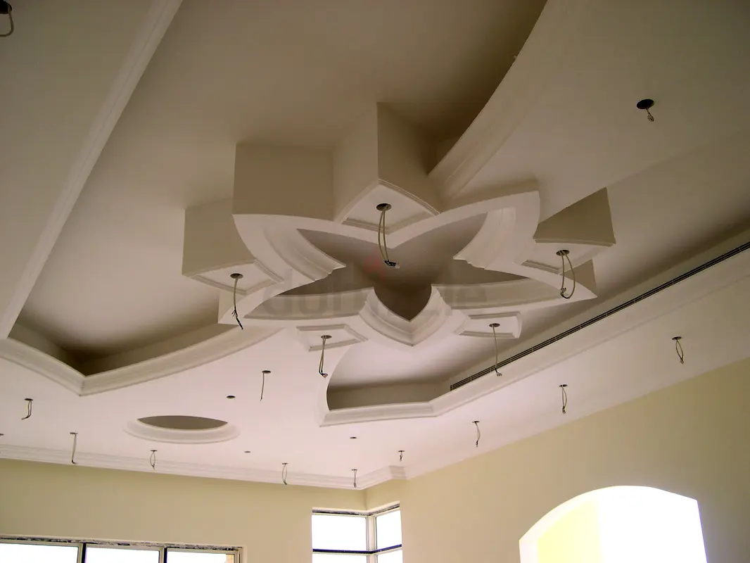 DPV_View_Image_1