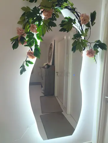 LED Backlit Decorative Wall Mirror with Curvy Frame
