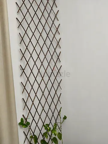 Plants furniture