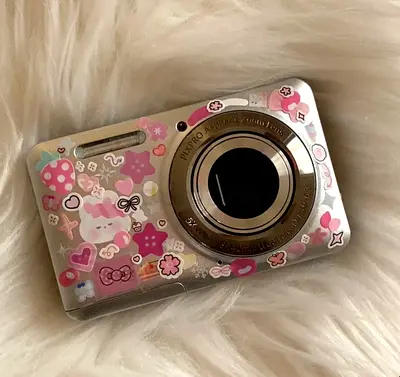 Kodak pixpro fz55 camera
