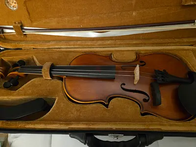 Student model Violin