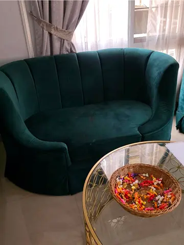 دبي الورقاء ٣