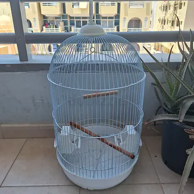 White round bird cage with perches - good condition