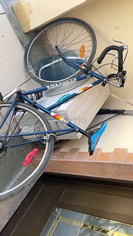 road bicycle / sport bicycle (negotiable)
