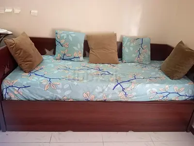 Sofa cum bed with double metress