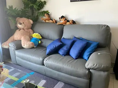 Sofa and Dining