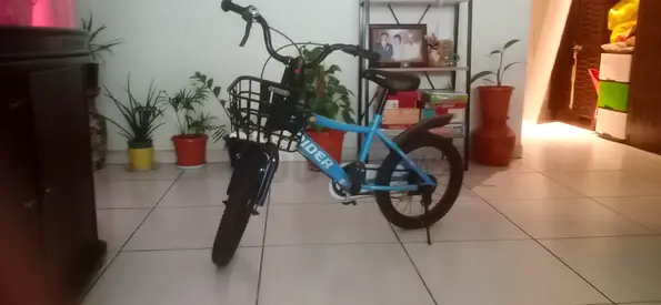 Kids cycle