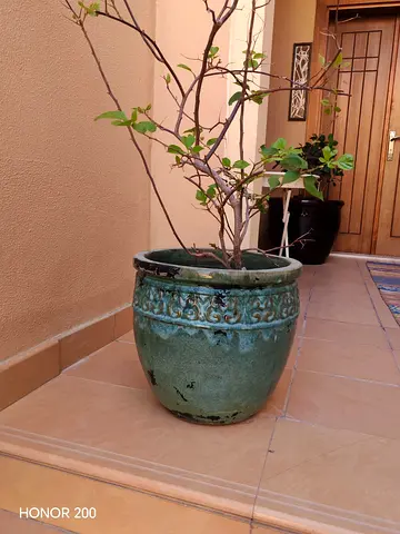 Two Medium decorative ceramic outdoor planter / garden pot