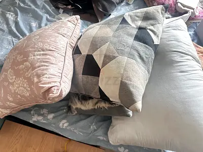 Cushions and pillow