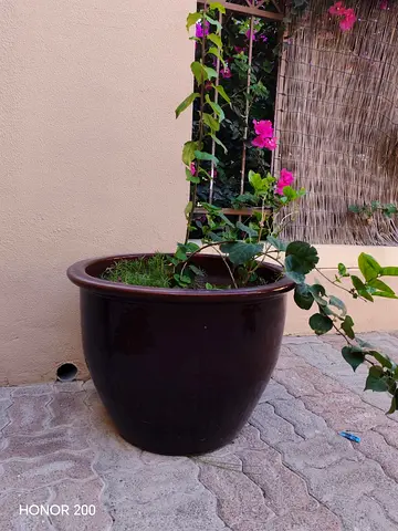 Large Brown Ceramic Outdoor Planter Pot — Excellent Condition