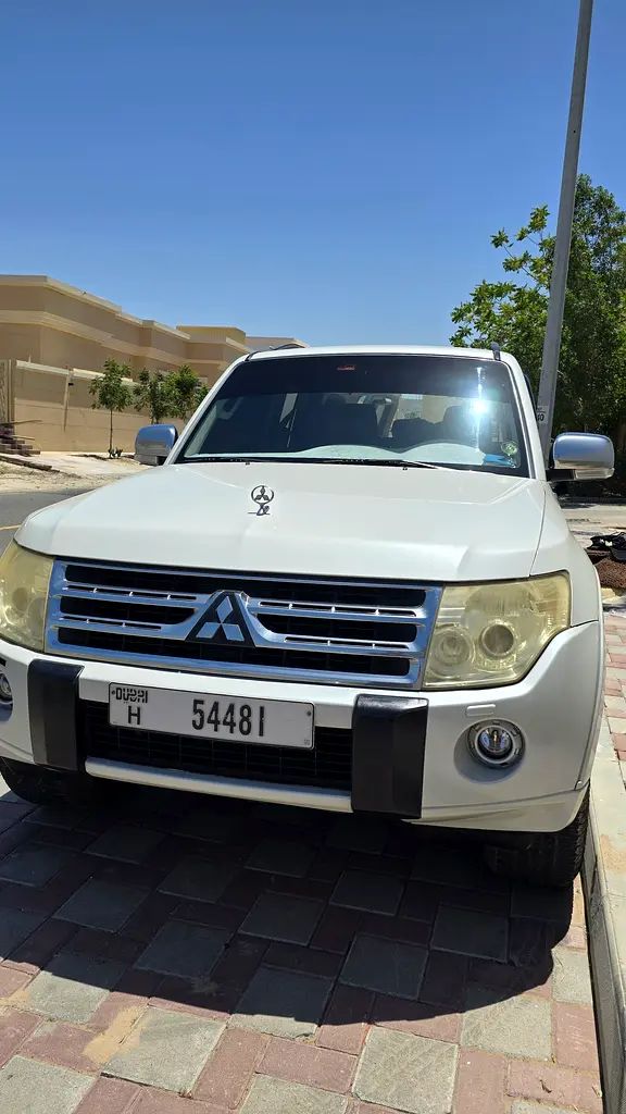 Mitsubishi Pajero 2010 — photo 1 of 8