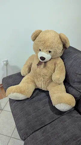 Large Teddy