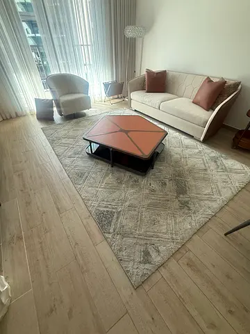 Light Grey Geometric Modern Area Rug - Good Condition