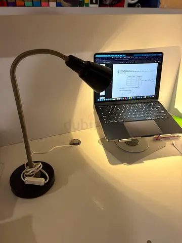 Adjustable Gooseneck Desk Lamp with Clamp - Black