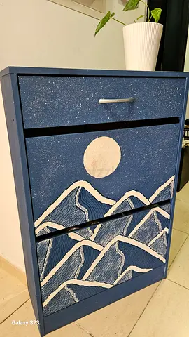 Unique Designer Blue Shoe Cabinet with Pull-Out Racks - Good Condition