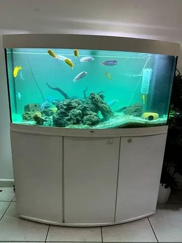 Juwel aquarium vision 260 liter
