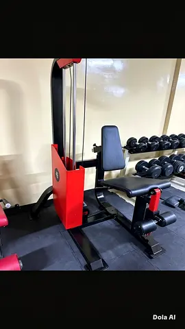 Multi-function Home Gym Machine with Leg Extension and Lat Pulldown
