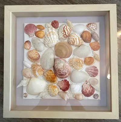 Framed Handmade Decorative Seashell Shadow Box - Natural Beach Decor 25x25cm