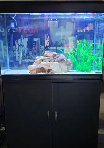 Aquarium with Cabinet