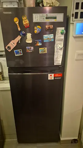 Toshiba Single-Door Refrigerator -perfect Working Condition