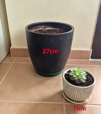 Set of 3 indoor planters with succulents