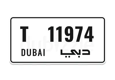 birth year number