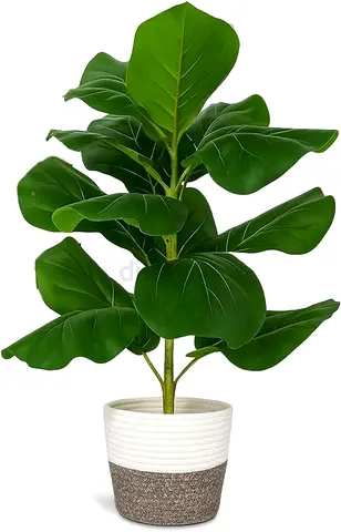 3207 - ORCHID M®Artificial Fiddle Leaf Fig Trees, Tropical Theme Artificial Ficus Lyrata Fake Potted