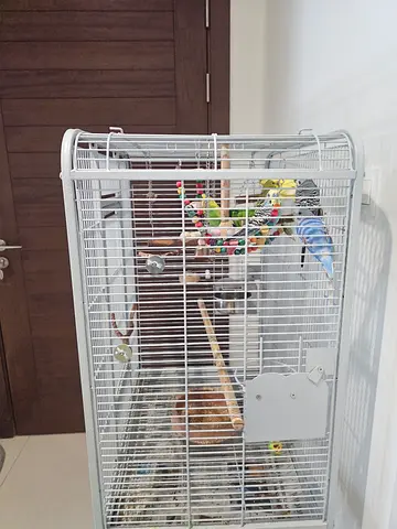 Large white bird cage with perches and toys - good condition