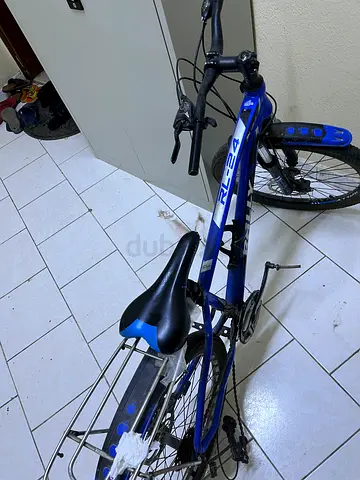 Rally bike