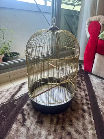 Round Gold Metal Bird Cage with tray - Excellent Condition