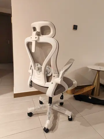 Ergonomic Office Chair in Grey