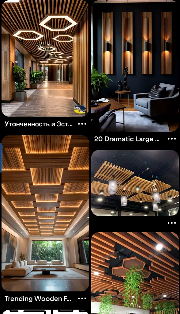 DPV_View_Image_0