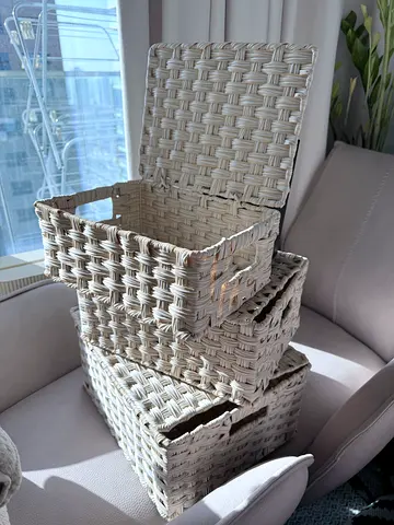 3 Boxes with hinged lids for storage