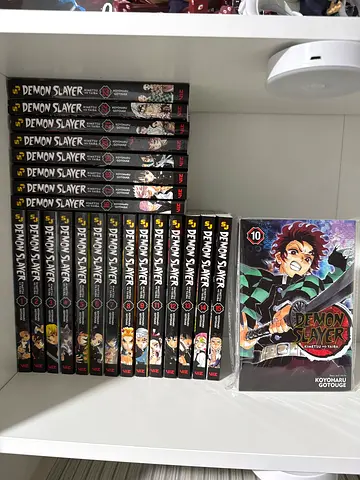 Demon slayer box set